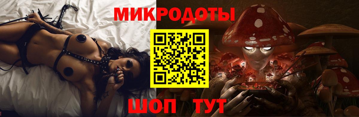 Корсаков  Галлюциногенные грибы Psilocybe  Вход с VPN 